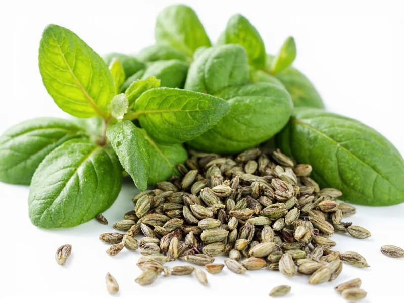 Oregano Taste: Earthy, Peppery Flavor Profile Explained