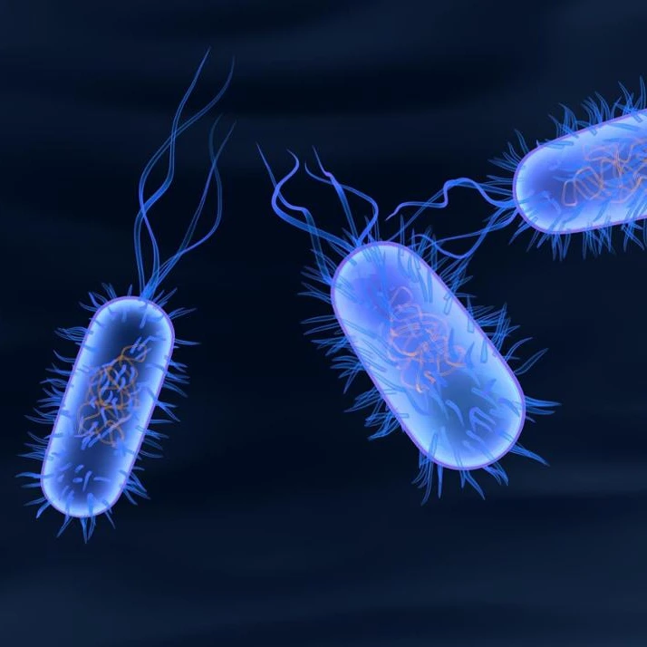 
MBBR type Hospital Wastewater (AKTIFPAK by AAT) 