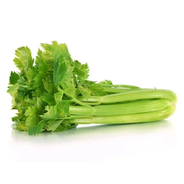 
FRESH VEGETABLES FRESH CELERY CABBAGE   contact now to get the BEST DEAL 