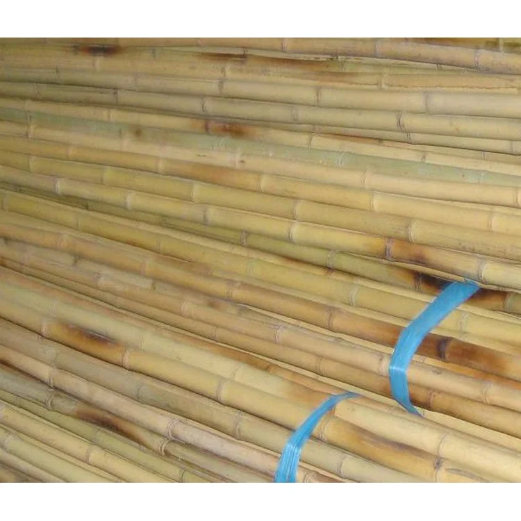 
Bamboo Pole with Plastic Coated Plant Stakes Supports Natural Bamboo Stake Climbing for Tomatoes Trees Beans 