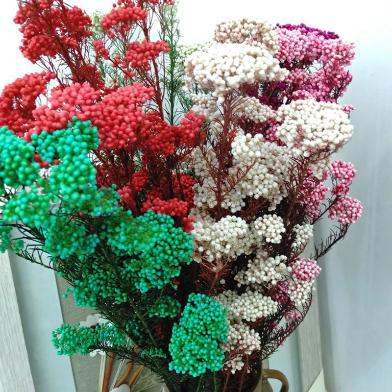 Wholesale Preserved Wall Moss Letters Box Lichen Stabilized Irish Moss