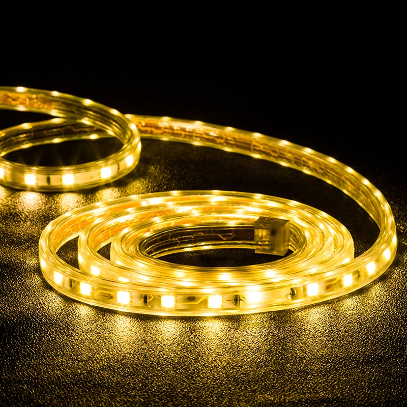 Heat Resistant Oem Odm Customize 220v 110v 5050 60leds/m Double Color Chip Led Strip Light