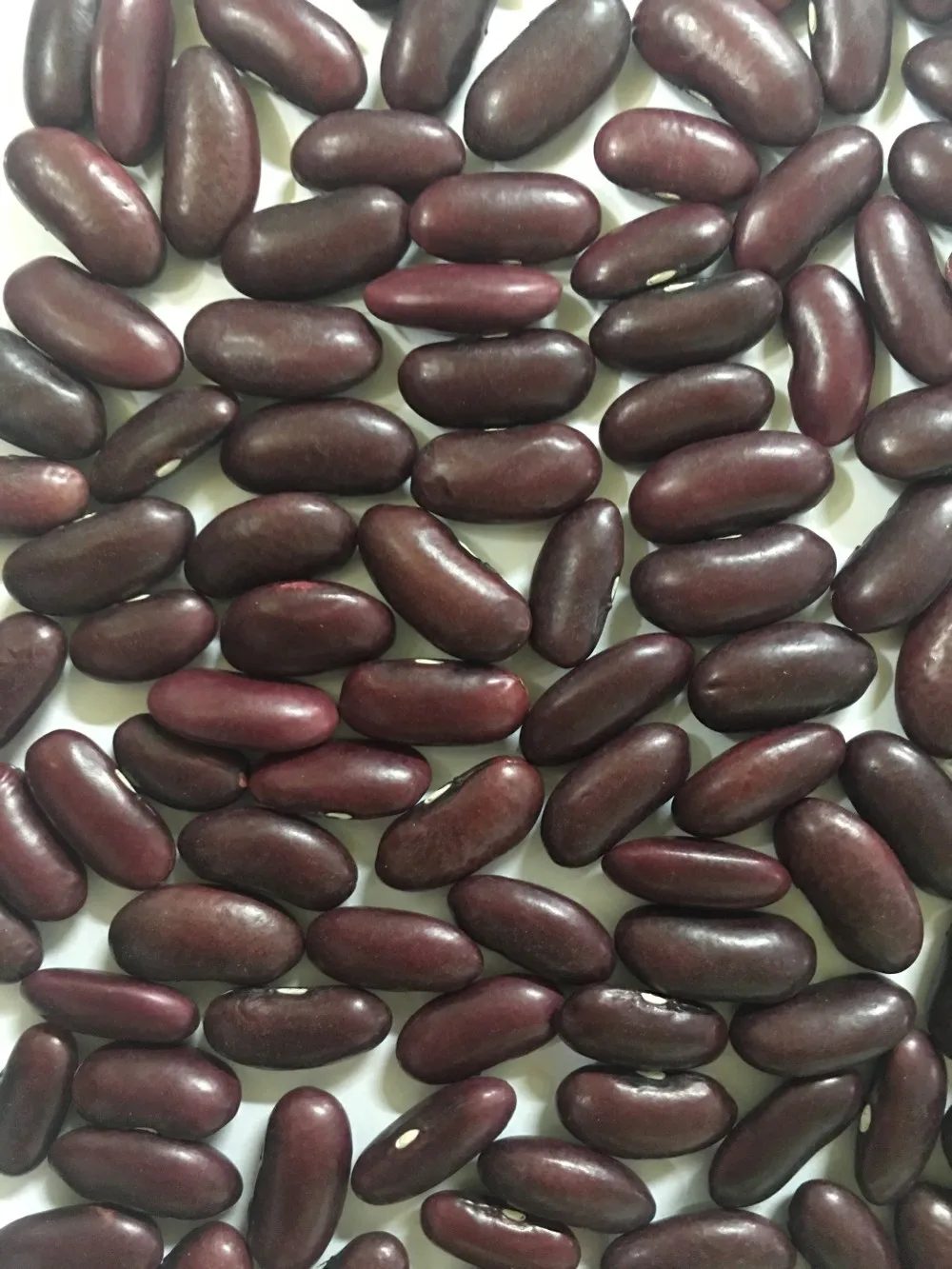
VIETNAM ORIGINAL RED KIDNEY BEANS 