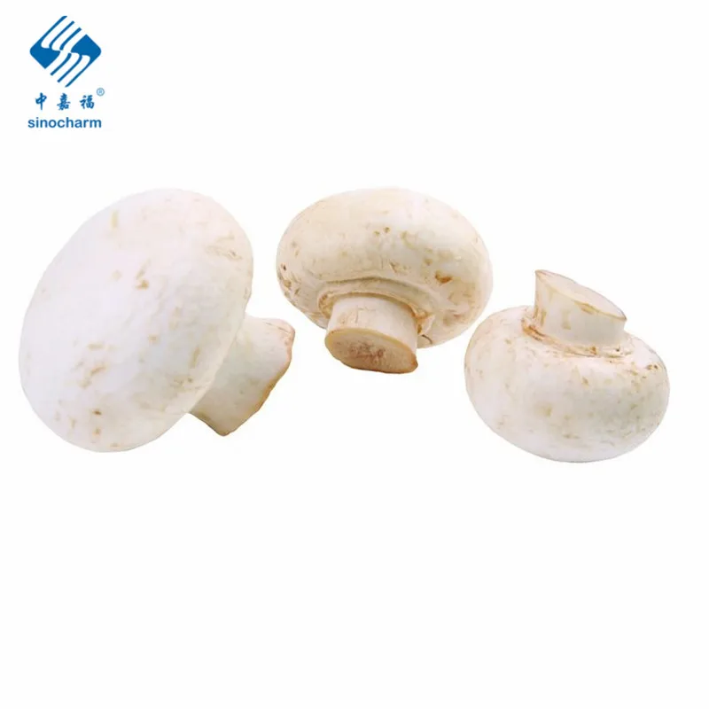
New Crop Delicious White Frozen Mushroom Champignon Frozen Shiitake 