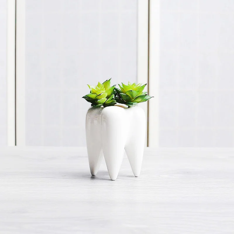 

P355 indoor small ceramic flower pot succulent planter cute unusual shape glazed white mini bonsai decoration planter