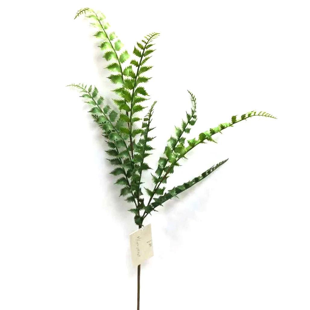 

32 inch faux green Shrubs plants leaves artificial Money fern leaf branch, Natural color