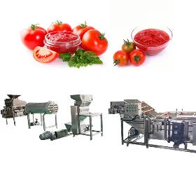 Tomato Paste Processing Solution 