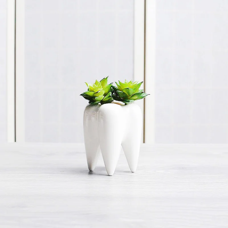 

P355 hot sell indoor small ceramic flower pot succulent planter cute unusual shape glazed white mini bonsai decoration planter
