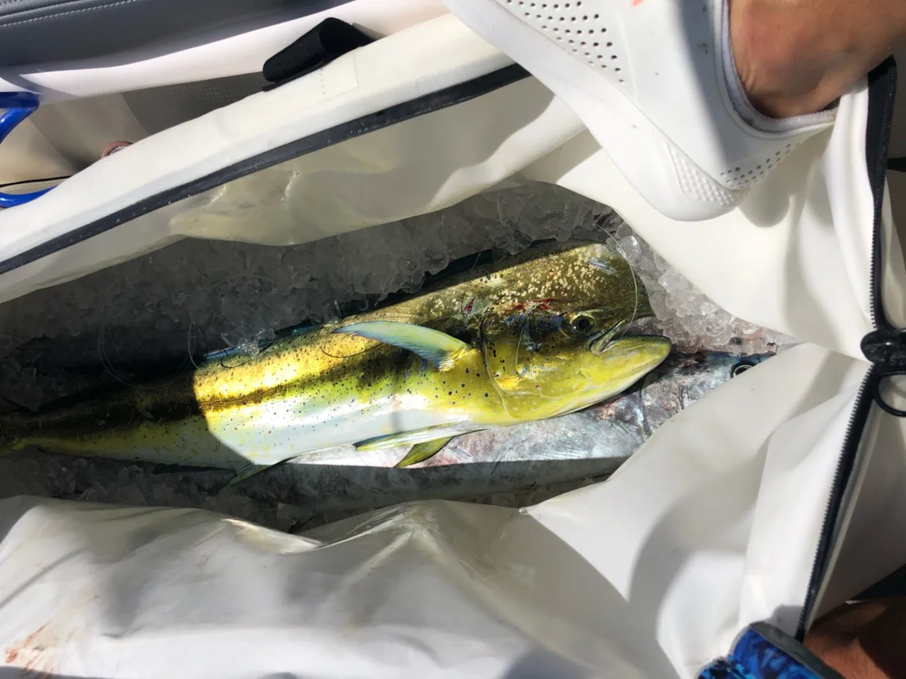 Customised Insulated Fishing Bag Big Leakproof Sea And Lake Fishing 1