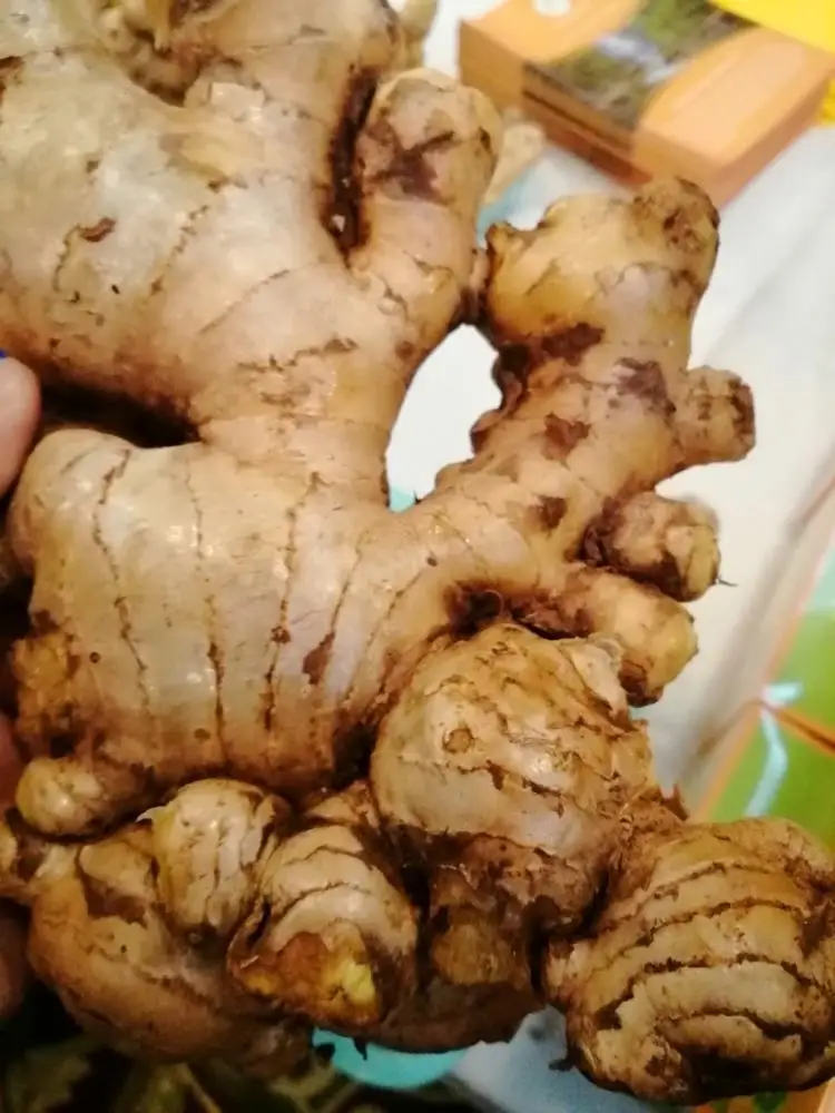 
Vietnam Fresh Ginger new crop +84984418844 whatsapp 
