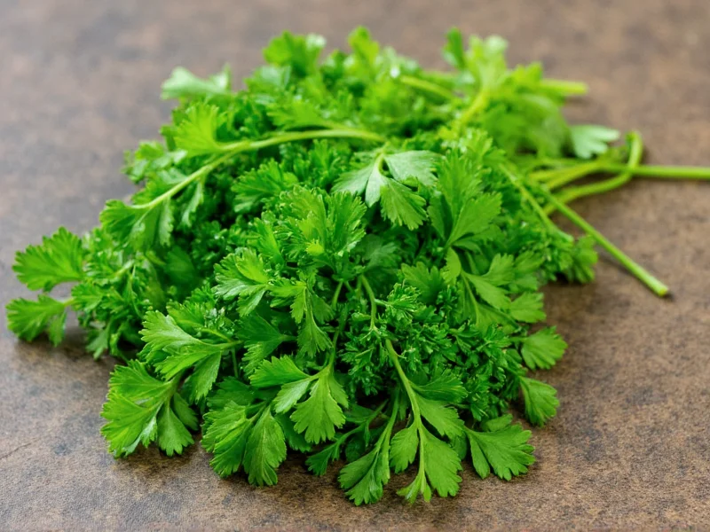 Coriander Leaves vs Parsley: Not the Same Herb