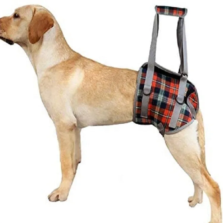 

Back Leg Lift Dog Harness Adjustable Plush Old Pet Dog Walk Assist Belt Pet Dog Walk Assist Belt