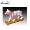 PVC Cat Body Acupuncture Medical Model for Veterinary Reference