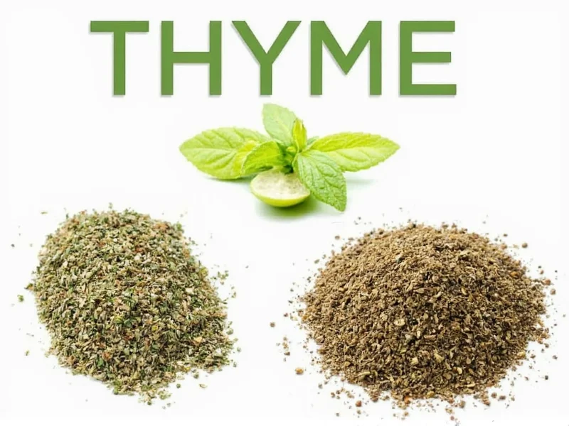 Best Thyme Substitutes: 7 Effective Alternatives