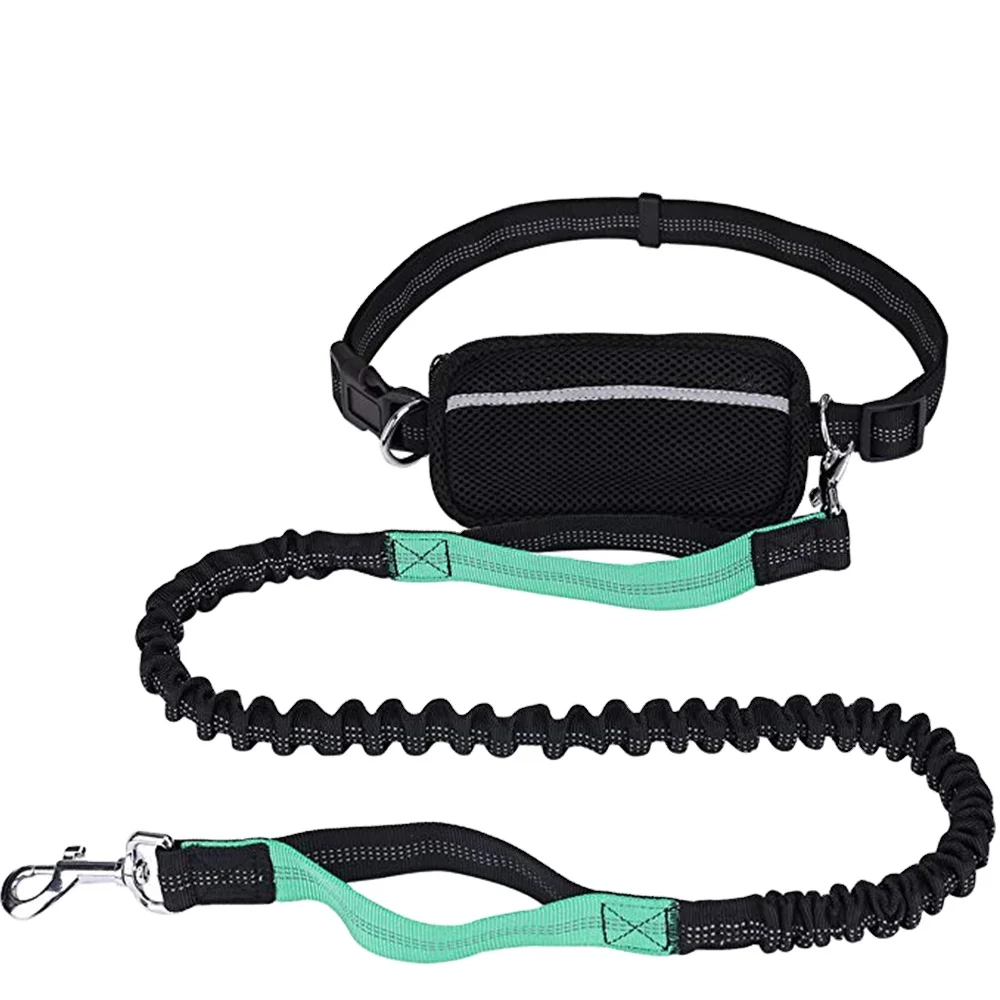 

Hot sale Hands Free Dog Leash for Running Walking Training Hiking Dual-Handle Reflective Bungee Poop Bag