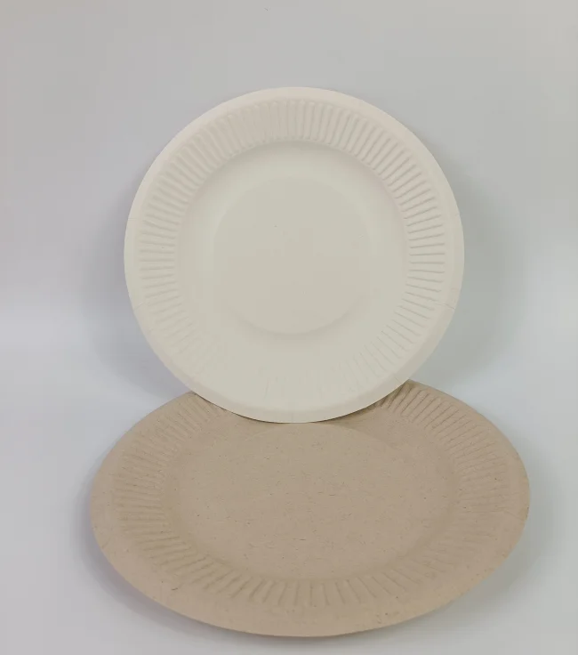 Disposable Bagasse Costeffective Degradable Compostable 8 Inch Plate