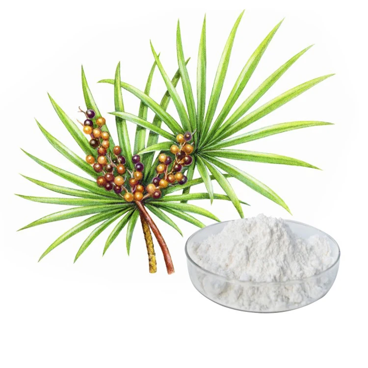 PRO factory supply stock 100% natural palm kernel fatty acid distillate/palm powder