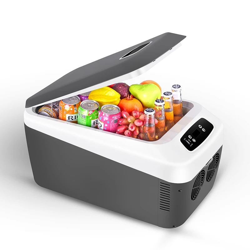 
12 liter 12V 240v Portable camping electric cooler box car refrigerator mini fridge  (62335946410)