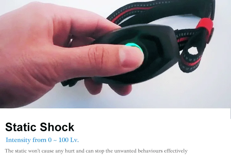 Dog Shock Collar (3).png