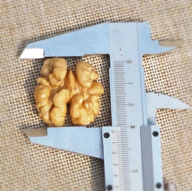 WALNUTS4.jpg