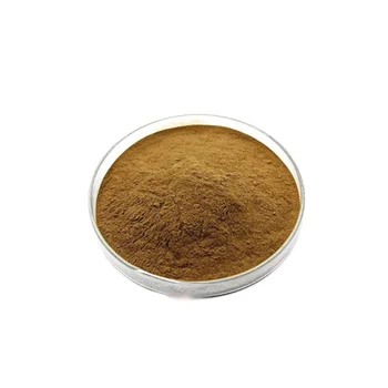 Wholesale High Quality Irvingia Gabonensis Seed Extract 100% Natural 