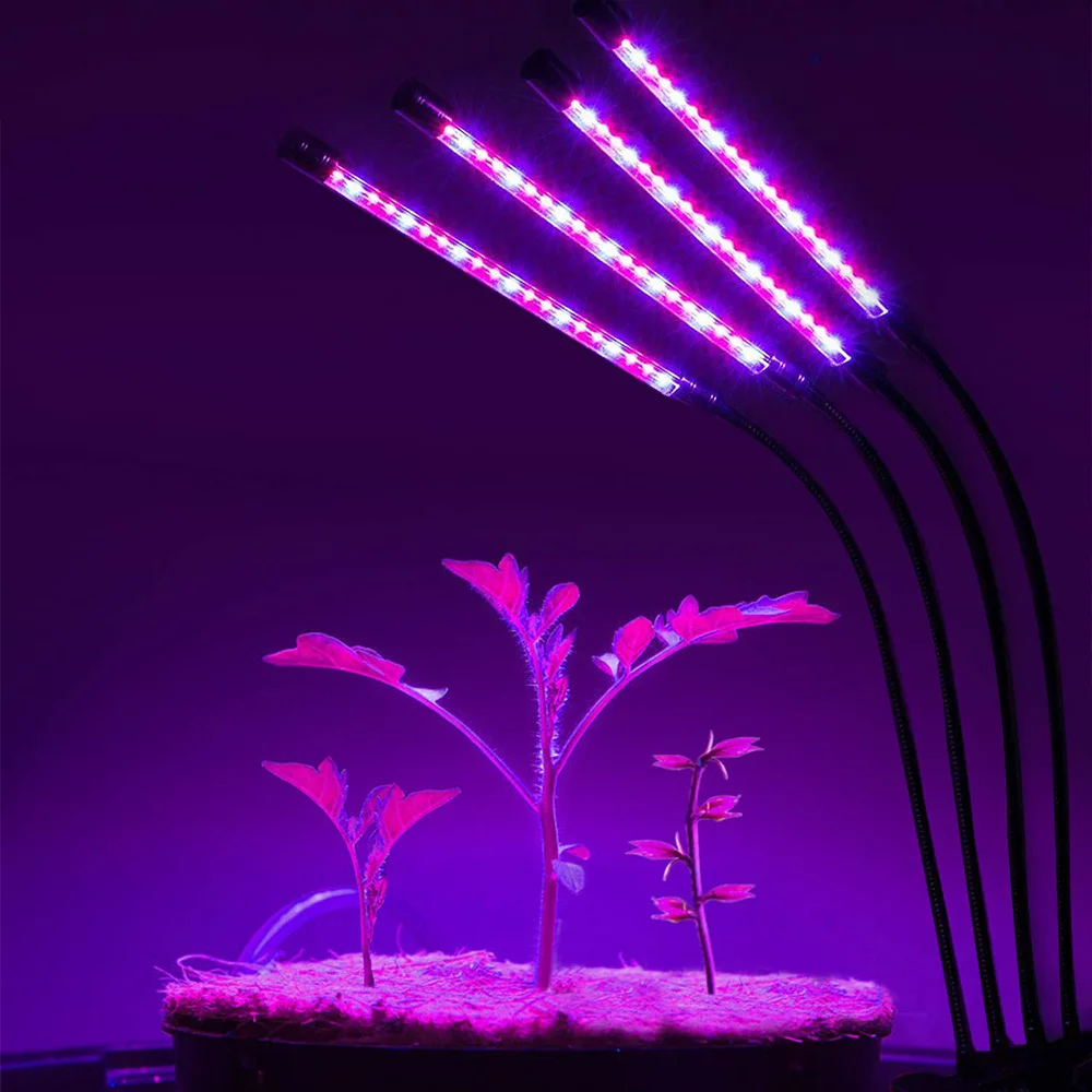Amazon Grow Light 40w Tri Head Timing 80 Led 4 Arms Plant Grow Lights For Indoor Plants With Red Blue Spectrum - Buy Grow Light,Led Grow Light,Plant Grow Lights Product on Alibaba.com Amazon Grow Light 40w Tri Head Timing 80 Led 4 Arms Plant Grow Lights For Indoor Plants With Red Blue Spectrum - Buy Grow Light,Led Grow Light,Plant Grow Lights Product on Alibaba.com