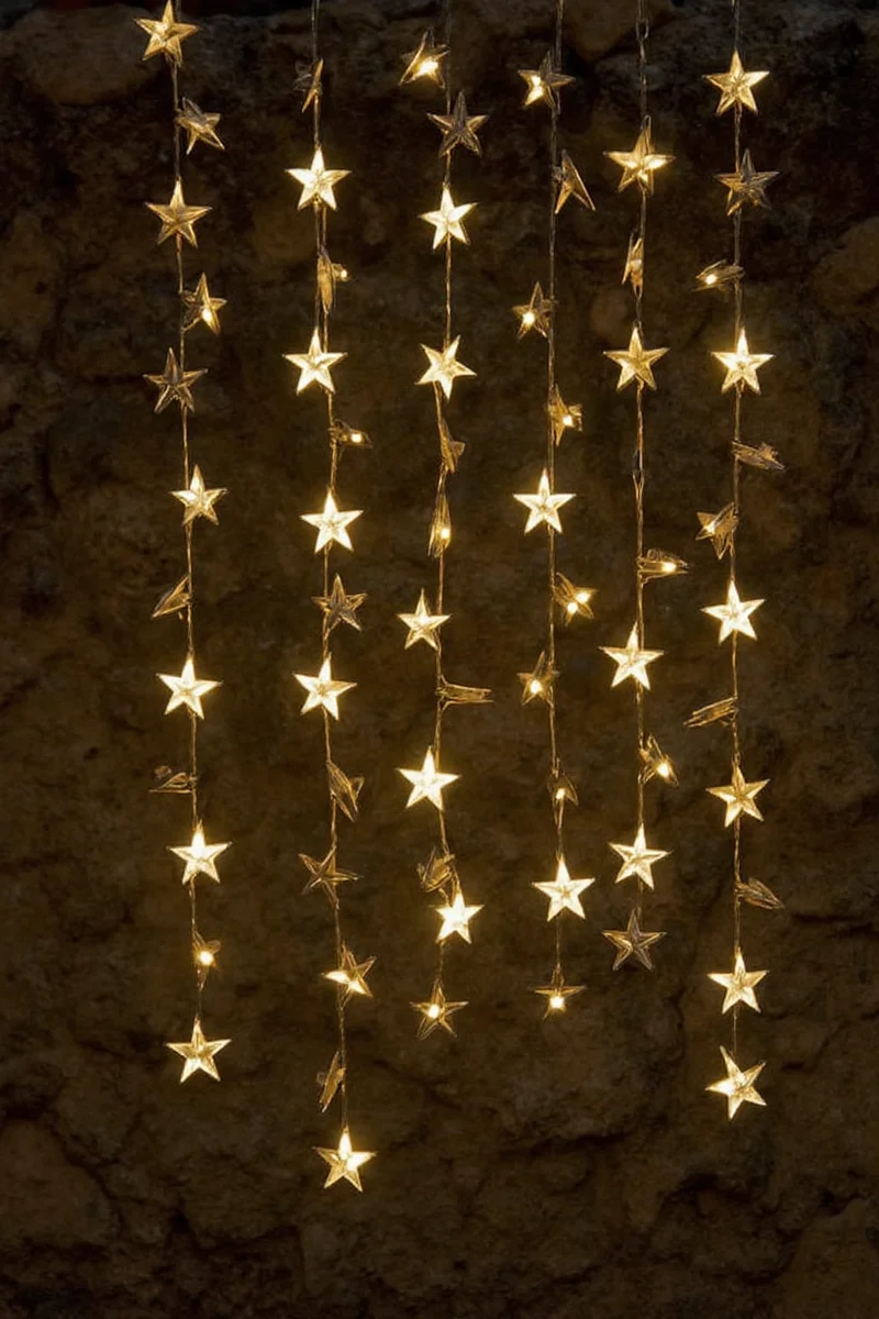 Low-hanging star lights marking a garden pathway