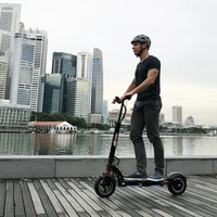 

China manufacture zero 10 cheap powerful EABS brake adult electric scooter on sale