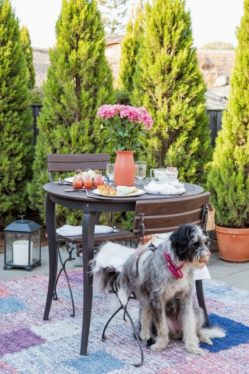 Patio decorated for Christmas with small tree, string lights, and festive pet bed for a holiday-themed outdoor space.