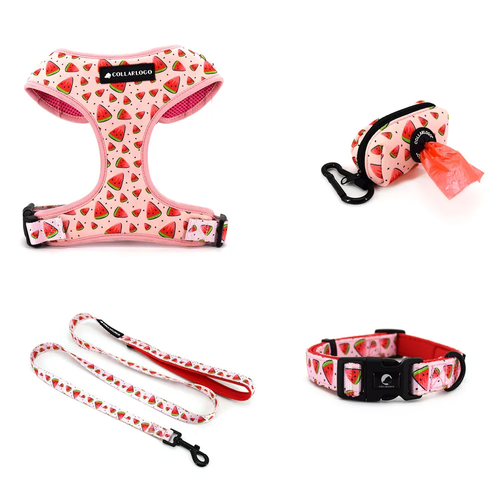 

2021 Pet Supplies Dog Harness Personalised Dog Harness Leash Set Neoprene Dog Harness Pet Collars and Leash Set