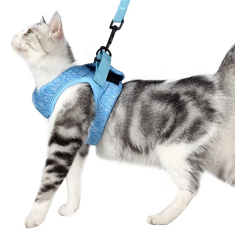 

Amazon Hot FBA Adjustable Escape Proof Soft Walking Safety Jacket Small Cats Dogs Vest Cat Harness with Leash, Grey, blue