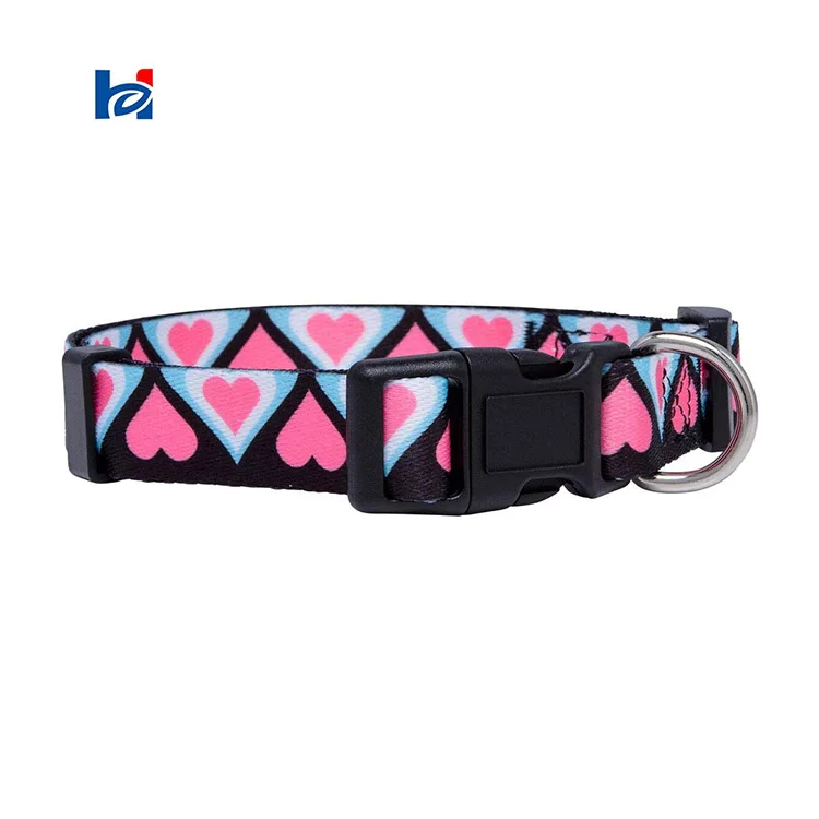 valentines day dog collars