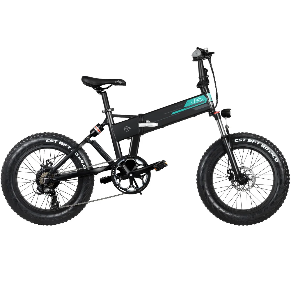 

Fiido M1 20" 2 wheel bycicle foldable portable electric bicycle 36v 250w e bike bicicleta electrica Electric Bicycle