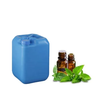 mentha piperita oil images