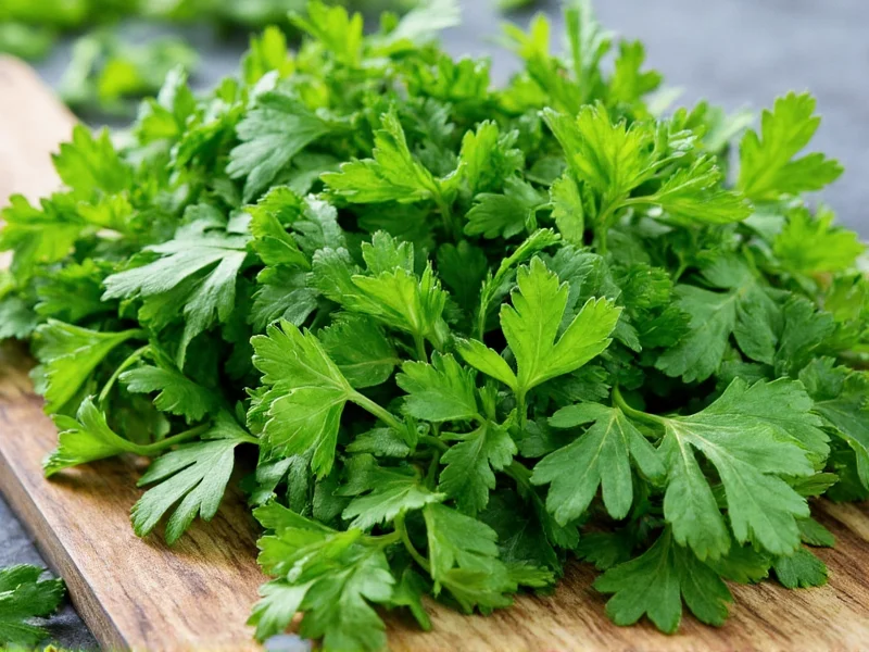 Parsley Dry to Fresh Conversion: Exact Measurements Guide