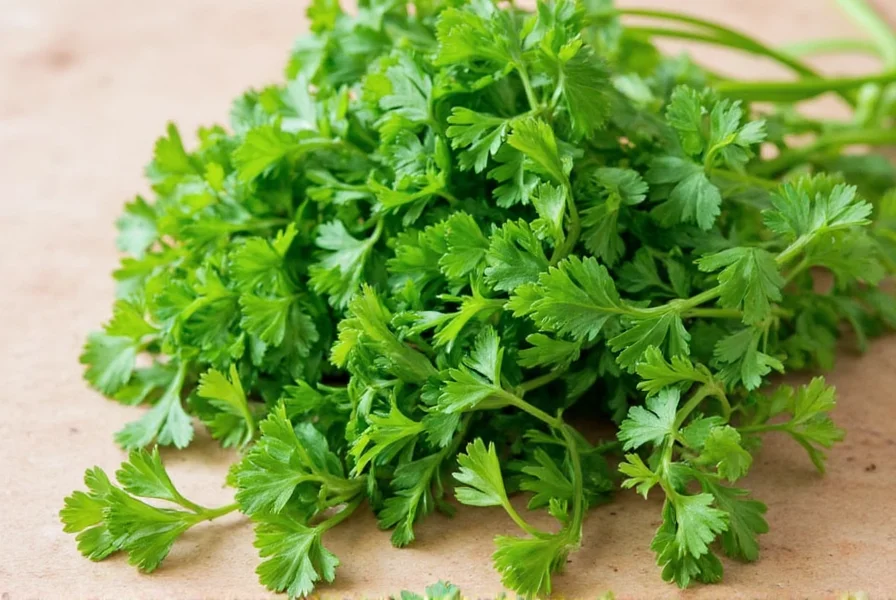 Parsley ice cubes in tray