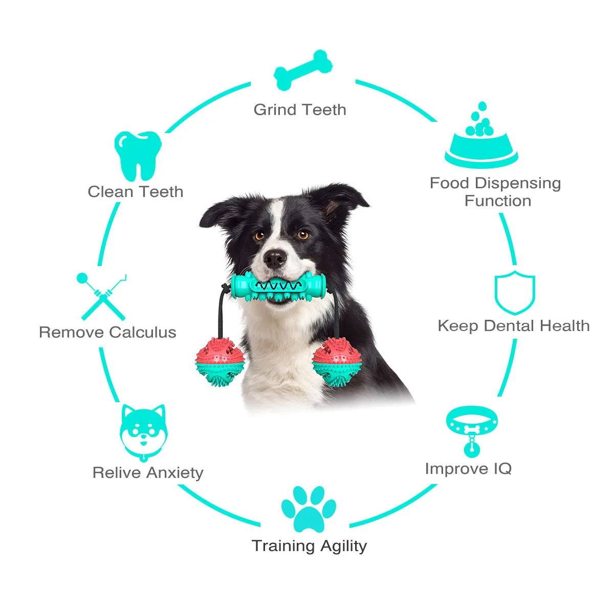 

Dog toy pull rope training ball bite resistant dog toothbrush molar stick pet toy combination, Mix color