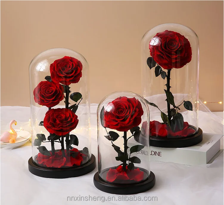 

Luxury Preserved Flowers Glass Dome Red Preserved Rose Gifts Sets for Valentine's Day Romantic Real Rose Flower Dome Gift