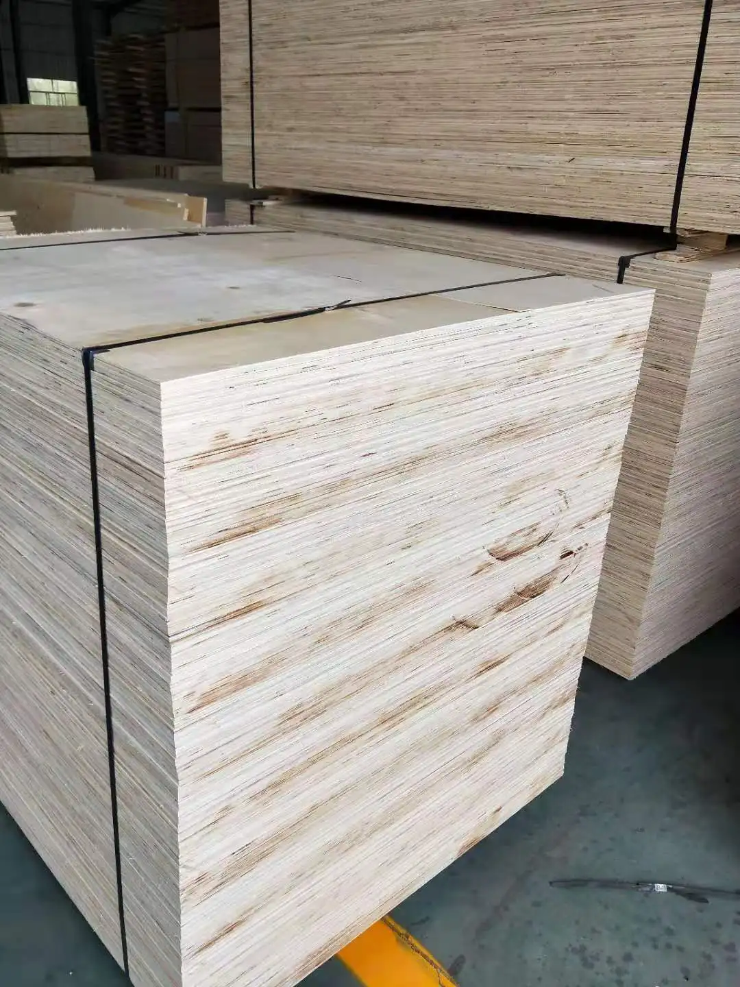 lvl木材杨木层压单板木材 (lvl) 用于木制托盘和板条箱