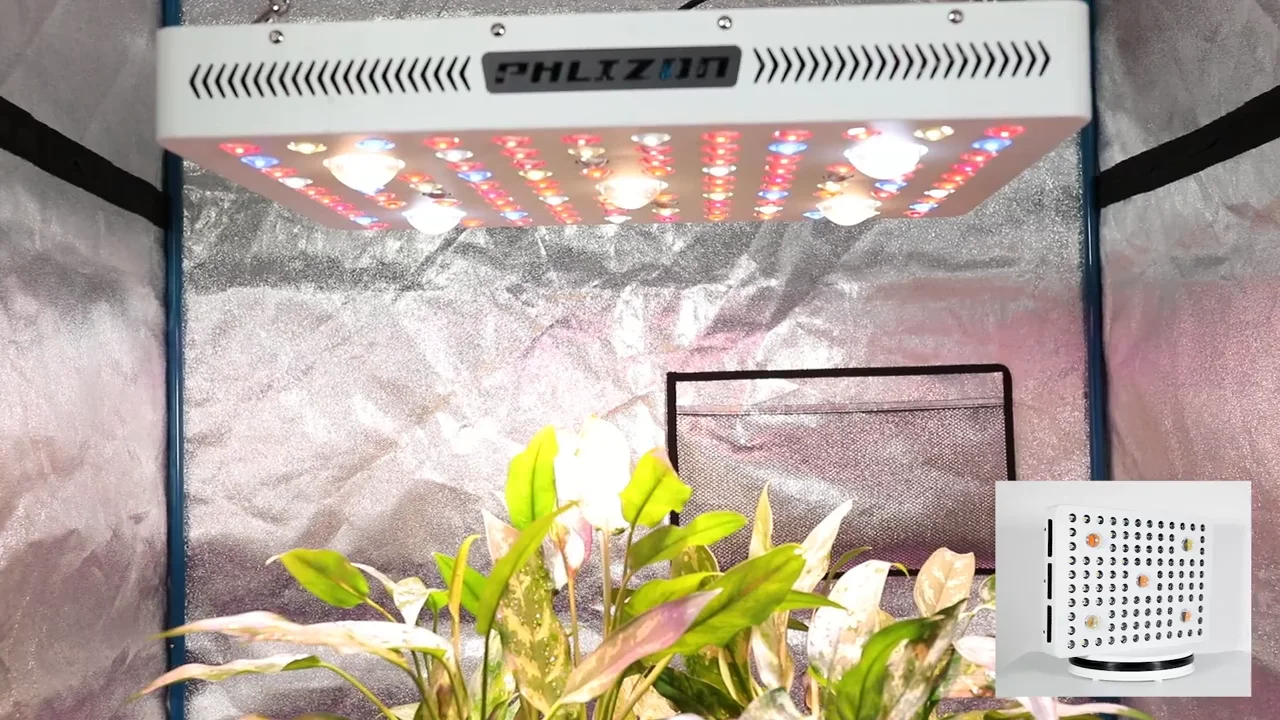 Phlizon Popular Cree Cob Led Grow Lights With Optical Lens Strong