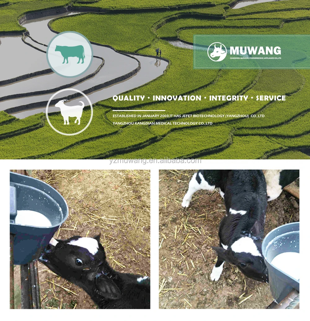 Hot Sale 4l Livestock Plastic Calf Feeding Bucket With Teat Buy Calf Feeding Bucket With Teat