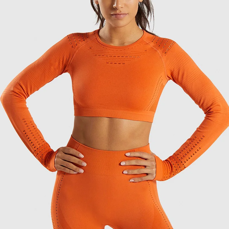 New arrival quick dry seamless soild color costumes yoga wear sexy women long sleeves tops
