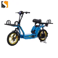 

2019 Steel frame delivery fast food Pizza Electric Bicycle with 400w motor 48v 2*20ah lithium battery bicycle