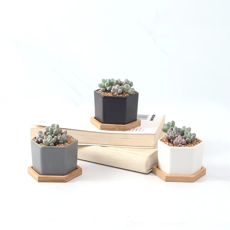 

Flower Pot Succulents Home Office Desktop Decor Mini Flower Pot, Black