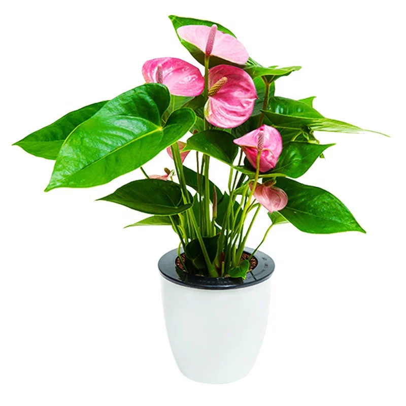 

Hot Selling self watering plant pot Round Plastic Bulk Big Flower Pot planter pot, White/green/rose