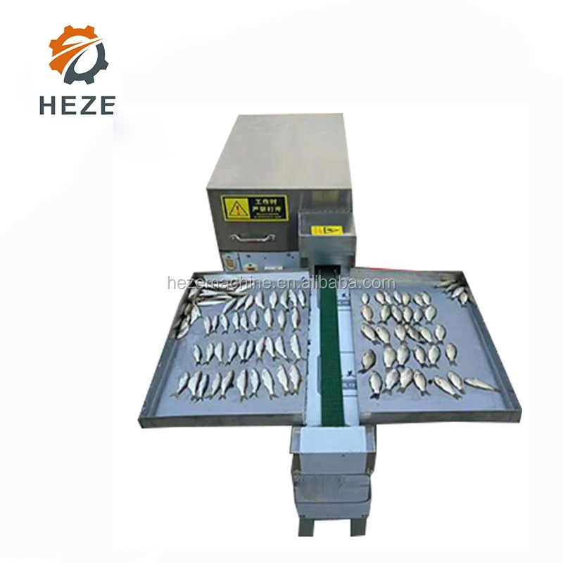 Automatic Fish Cleaning Machine Sardine Processing Machine Small Fish ...