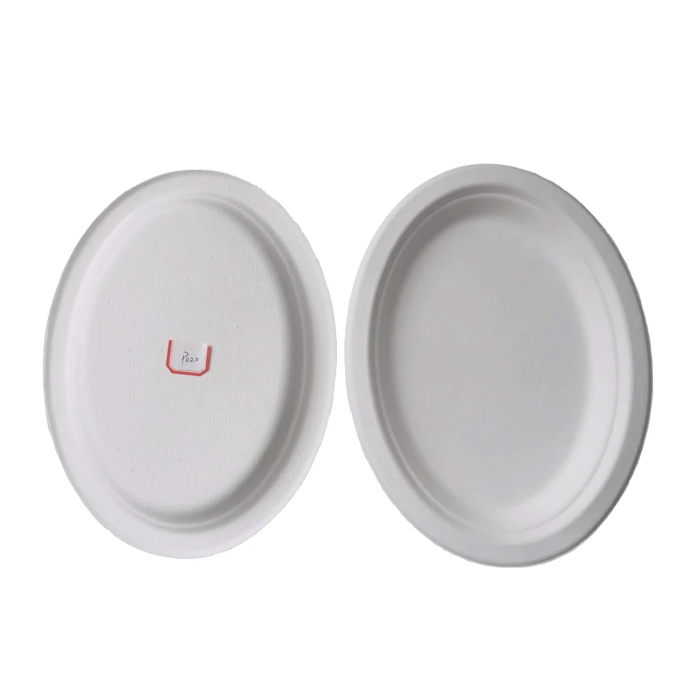 

Eco-Friendly Disposable Sugarcane Bagasse Pulp Paper Plate, White color