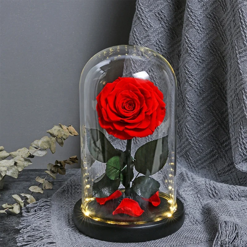 

2024 Luxurious Valentines Day Gifts Glass Dome Belle Enchanted Preserved Roses in Glass Dome Forever Roses Preserved Flower