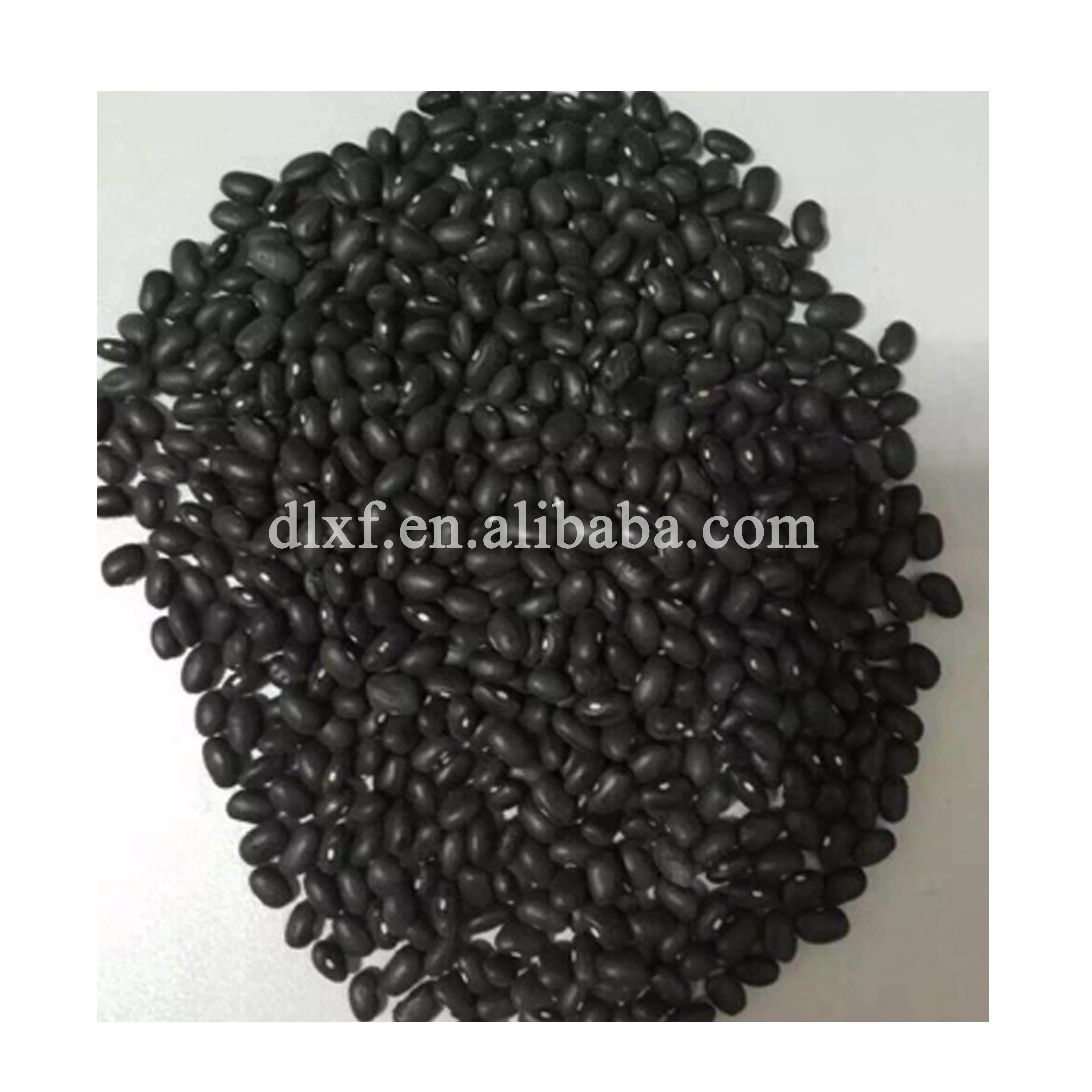 
organic black kidney beans 