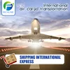 The best freight agent convey baby teddy bear stuffed animal to Germany
